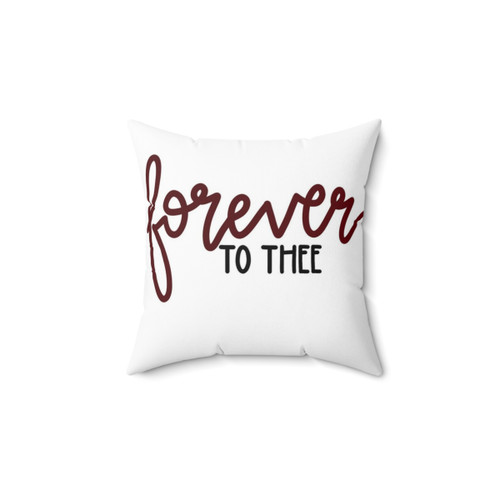 Forever to Thee Gamecock Football Pillow