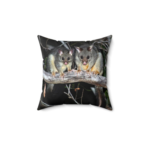 Australian Brushtail Possum Pillow