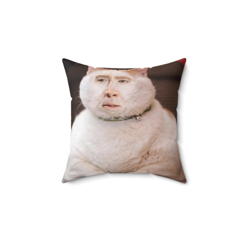 Funny Nicolas Cage Cat Pillow