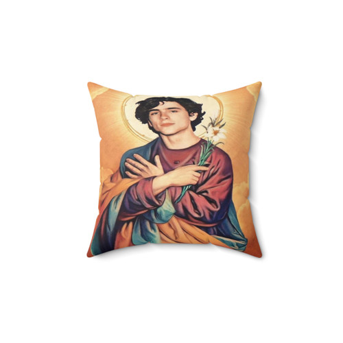 Timothee Chalamet themed decorative pillow