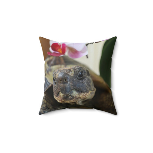 Tortoise Shaped Pillow - Little Foot the Cute Tortoise