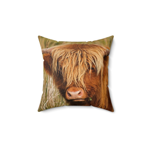 Highland Cow Decorative Pillow