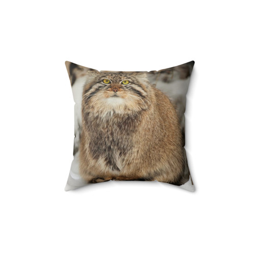 Pallas's Cat Throw Pillow