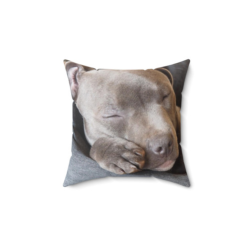 Blue Staffy Puppy Sleeping on Pillow
