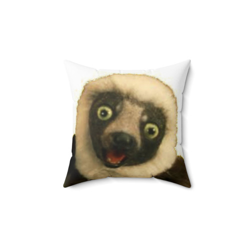 Zoboomafoo Themed Pillow for Children
