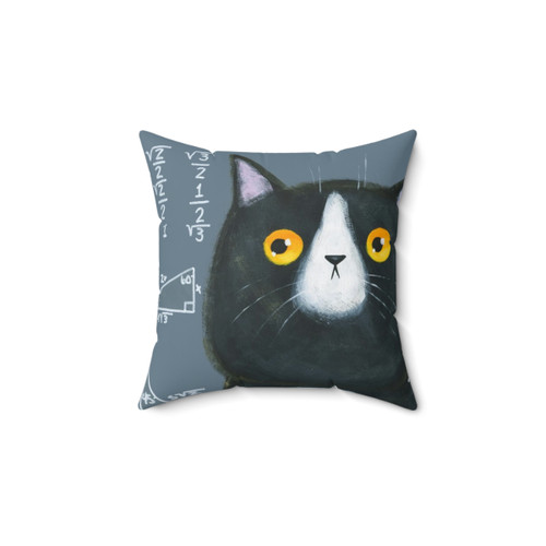 Maths Cat Pillow - Decorative Funny Math Themed Cat Cushion