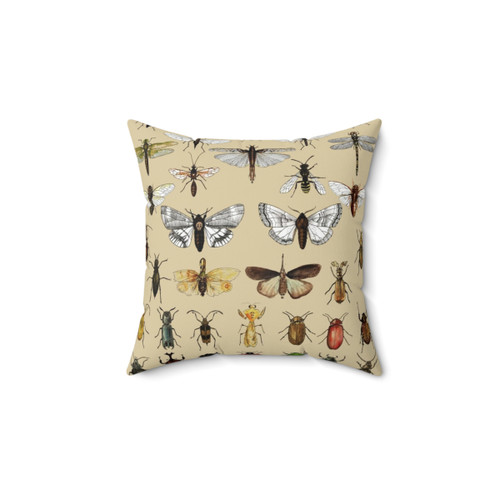 Entomology Insect Studies Collection Pillow