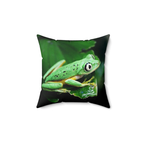 Watching from Behind the Glass Frog Pillow