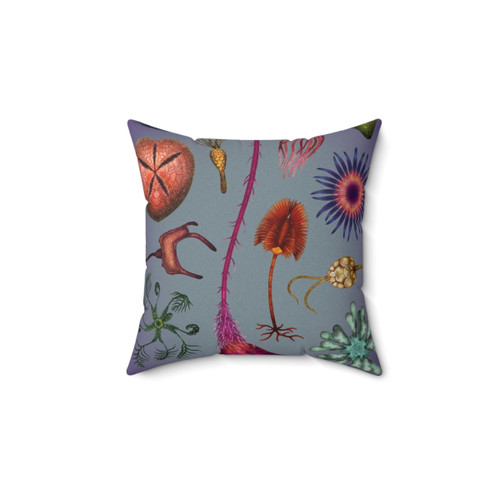 Echinoderms Plate Decorative Pillow