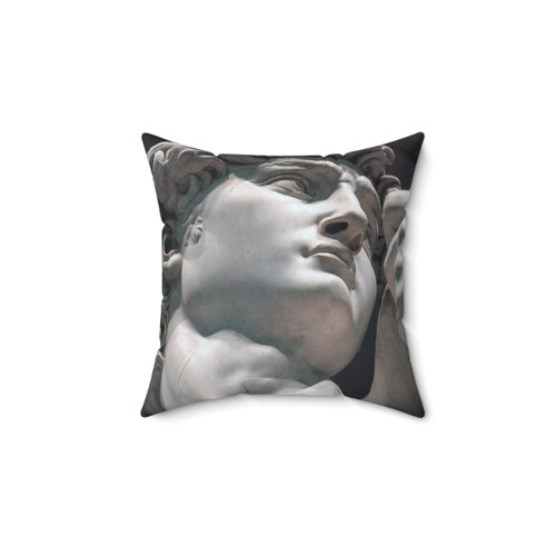 Michelangelo David (Head) Pillow