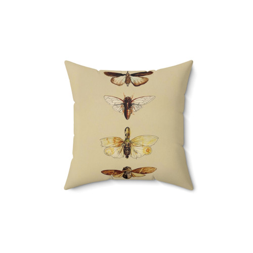 Entomology Insect Pillow - Bugs & Insects Design