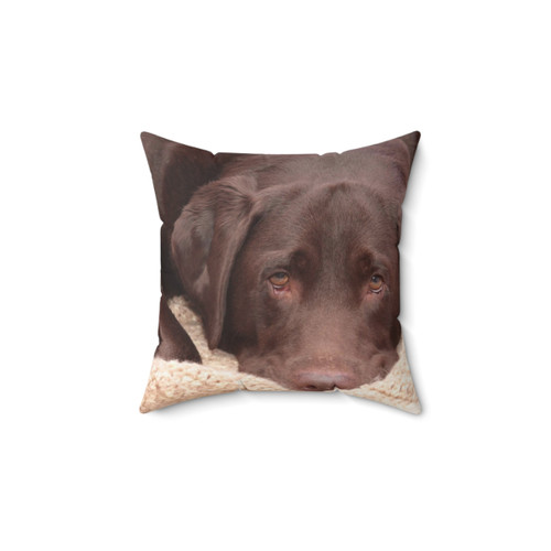 Chocolate Labrador Retriever Pillow
