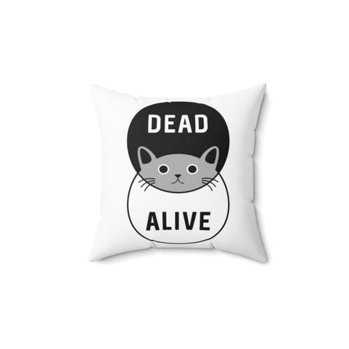 Schrodinger's Cat Pillow