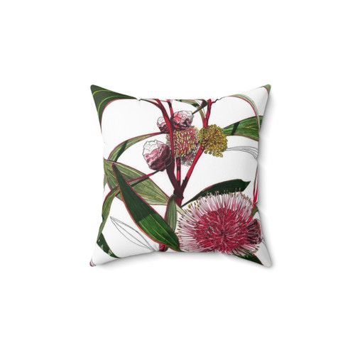 Hakea Flower Decorative Pillow
