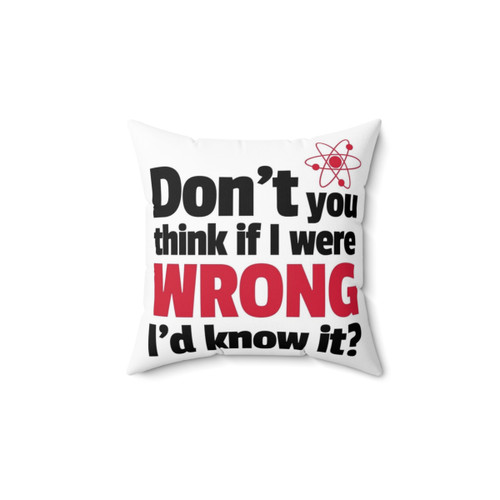 Funny quote pillow featuring If I Were Wrong text