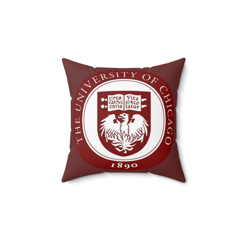University of Chicago Decorative Throw Pillow