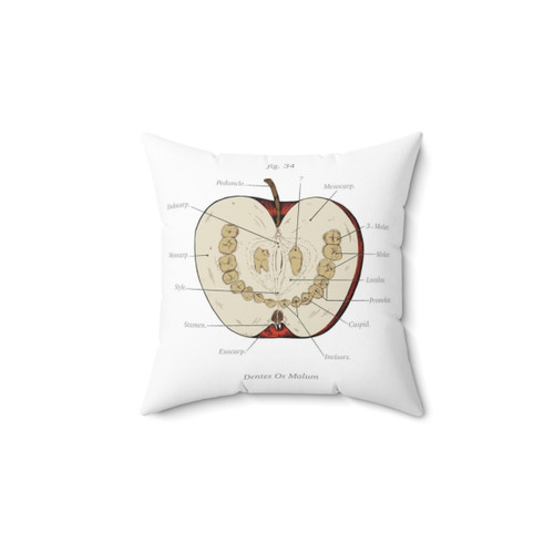 Anatomy Class Teeth Apple Pillow