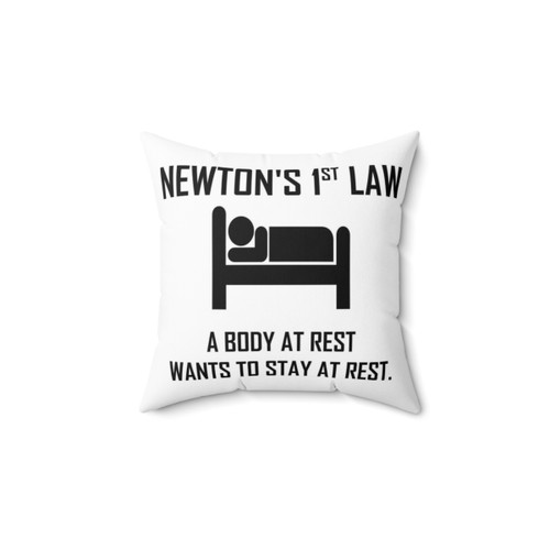 Funny Physics Joke Pillow featuring Newton's First Law