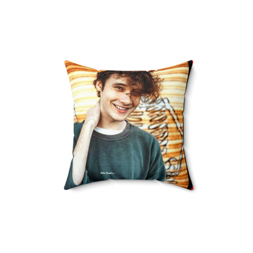 Soft and Cozy Wilbur Soot Pillow