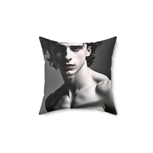 Timothée Chalamet Decorative Throw Pillow