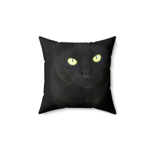Black Cat Portrait Decorative Pillow