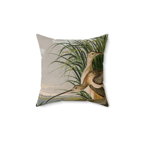 Long-billed Curlew Audubon Birds Decorative Pillow