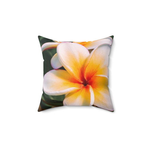 Tropical Plumeria Flowers Pillow