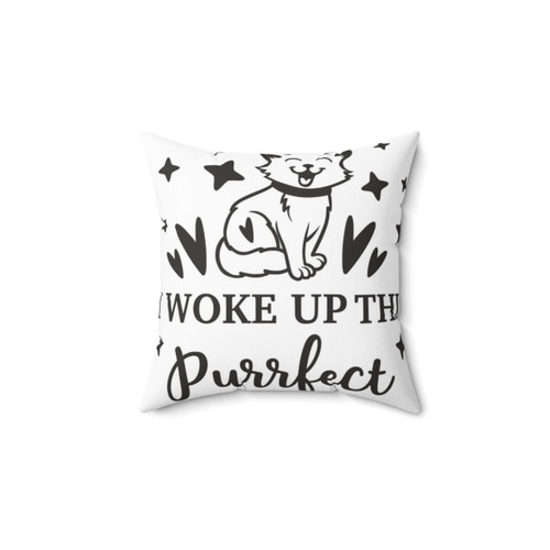Funny Cats Pillow