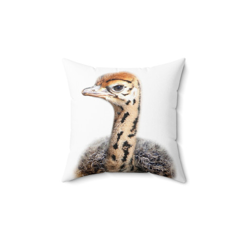 Cute Baby Ostrich Art Print Pillow by Synplus