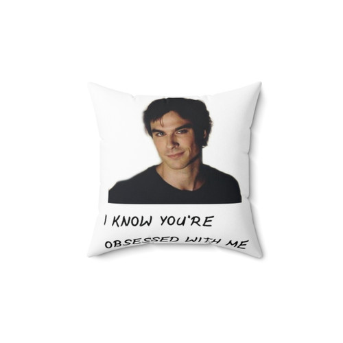 Vampire Obsession Pillow - Featuring Damon, Stefen, and Other Characters