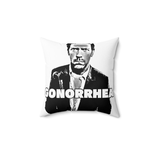 Funny House MD Themed Pillow