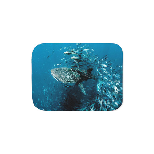 Whale Shark Sherpa Blanket with Award-Winning Photo