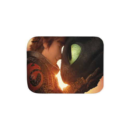 How to Train Your Dragon Sherpa Blanket featuring Toothless and Hiccup