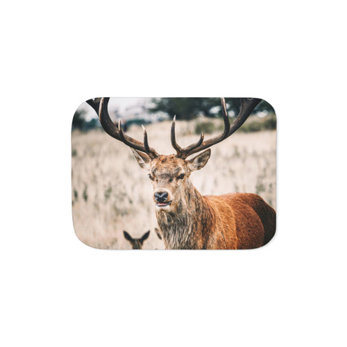 Cozy Sherpa Blanket with Proud Red Deer Design