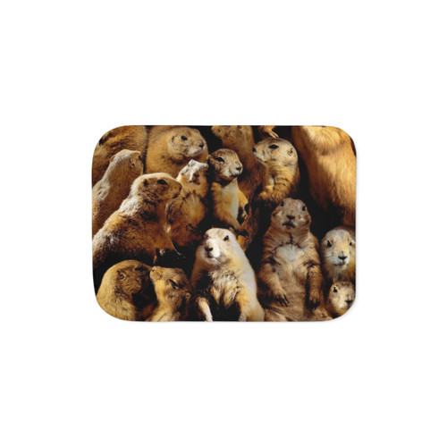 Prairie Dog Sherpa Blanket