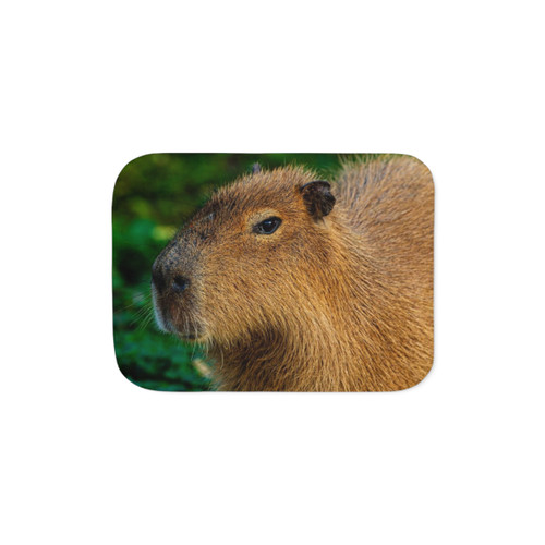 Capybara Sherpa Blanket