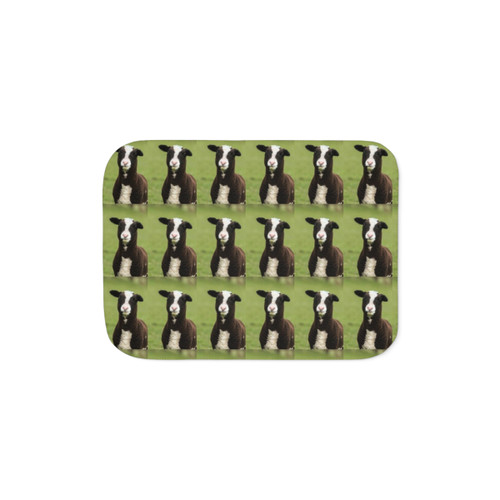Zwartbles Lamb Sherpa Blanket for Sheep Lovers