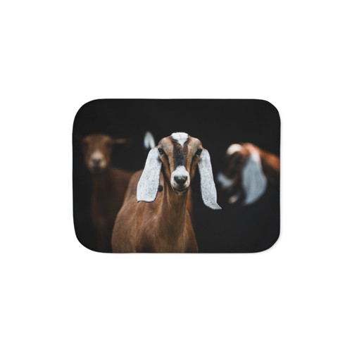 Nubian Doe Sherpa Blanket