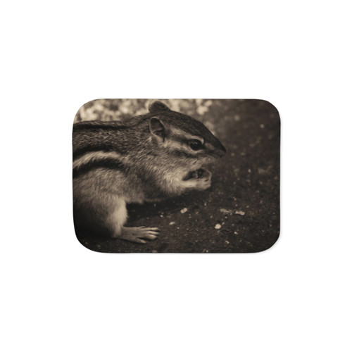 Chipmunk Animals Sherpa Blanket in Black and White Nature