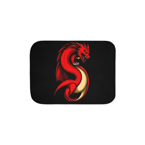 Dragon Art Sherpa Blanket - Cool Anime Style Manga Gifts for Dragon Lovers