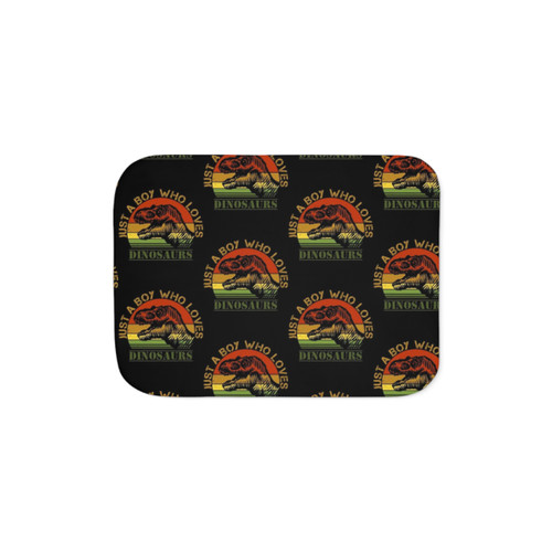 T-Rex Sherpa Blanket for Boys: Dino Lover's Dream