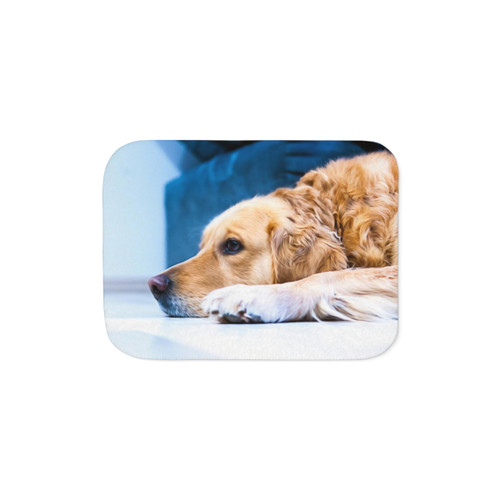 Cozy Sherpa Blanket for Golden Retriever Dog Owners