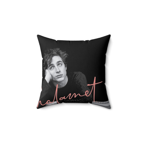 Timothee Chalamet Collage Pillow