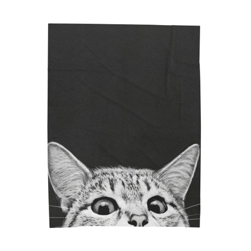Soft Velveteen Plush Blanket for Cats & Kittens