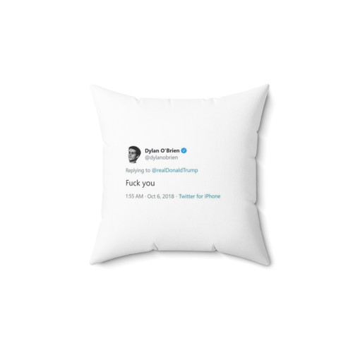 Dylan O'Brien Inspired Decorative Pillow