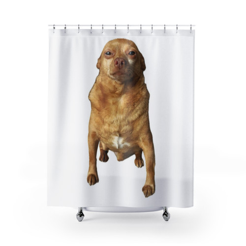 Mighty Mouse Shower Curtains with Amusing Graphics