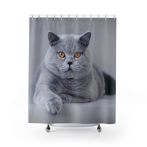 British Shorthair Cat Portrait Shower Curtains