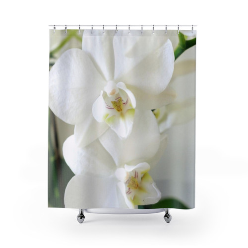Gorgeous white orchid shower curtain