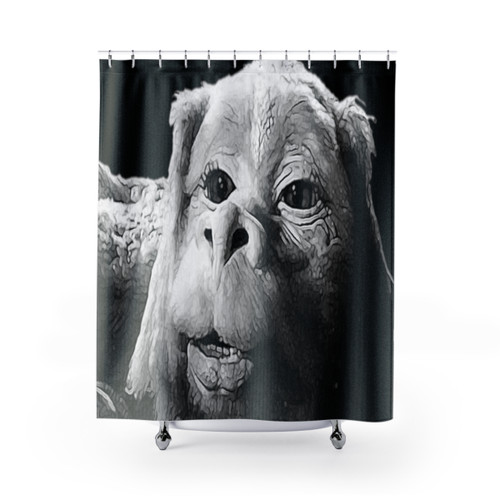 Neverending Story Luck Dragon Shower Curtains