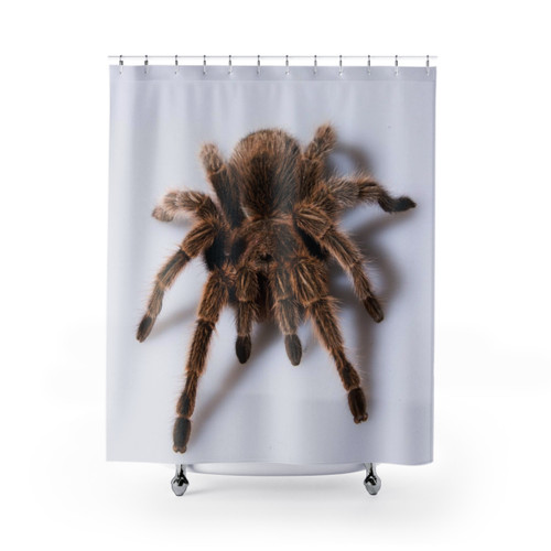 Tarantula-themed shower curtain with white background